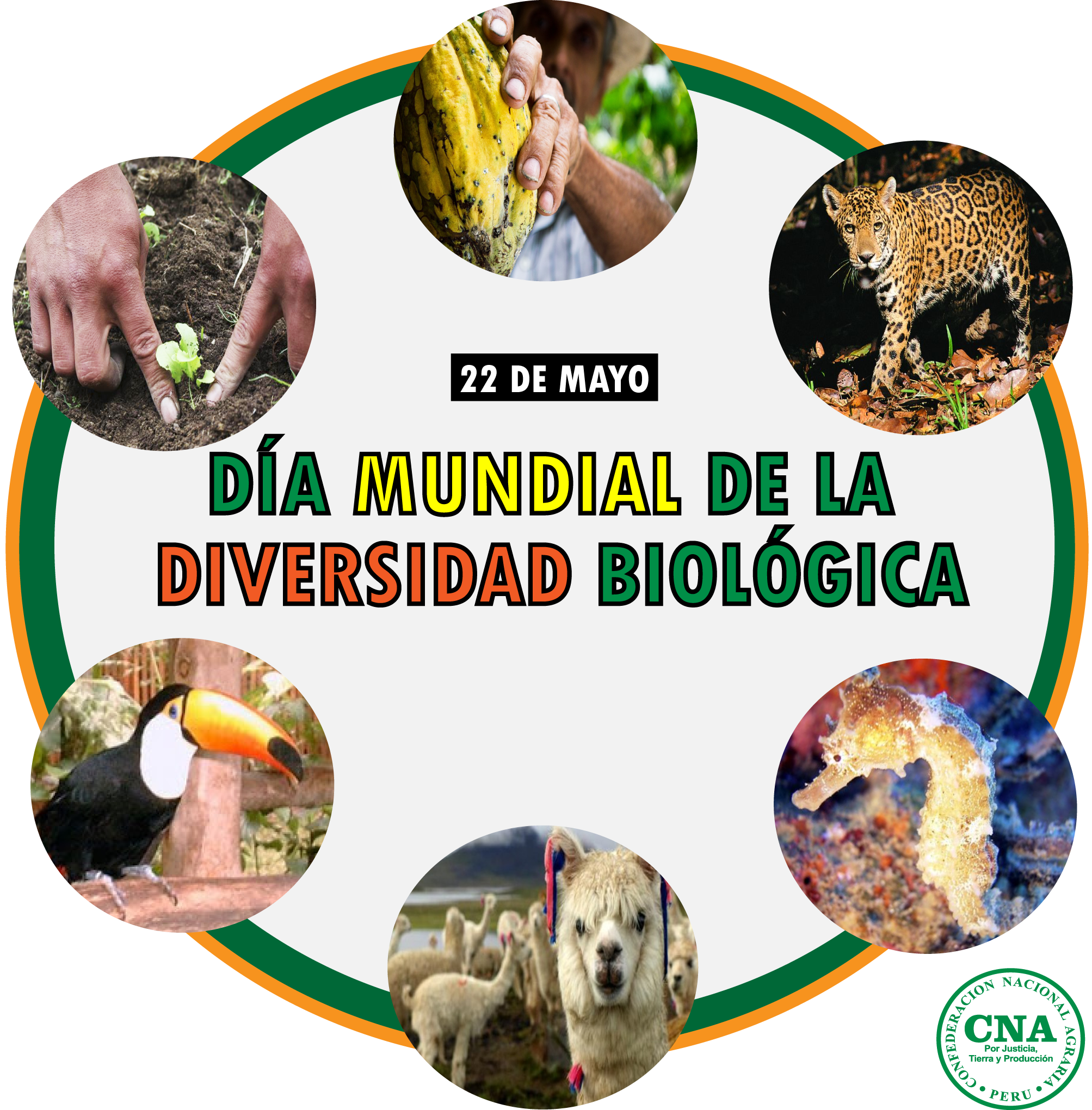 Dia Mundial De La Diversidad Biologica Que Es Y Cual Es Su – Asian Food ...