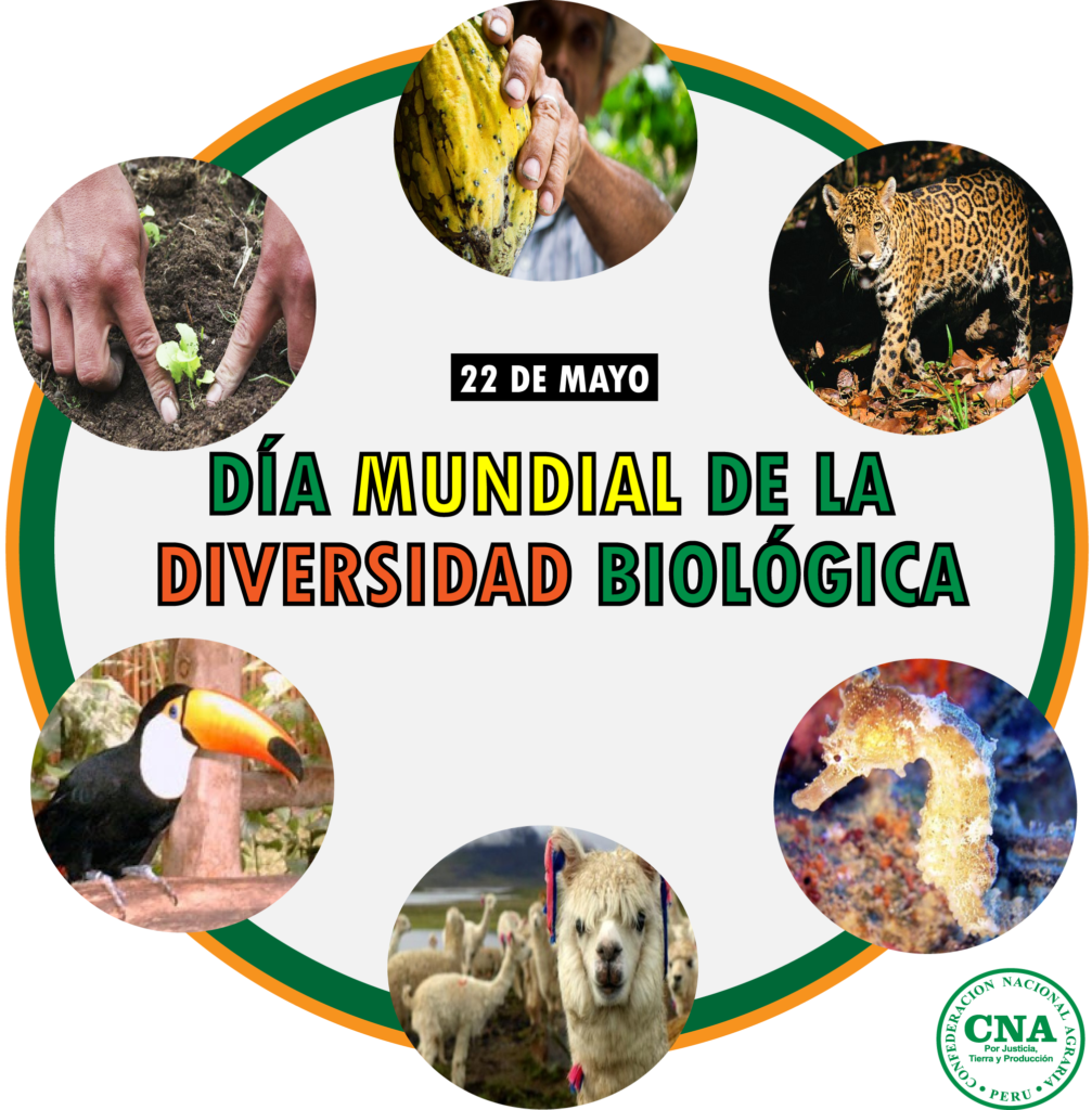 D A Mundial De La Diversidad Biol Gica Confederaci N Nacional Agraria