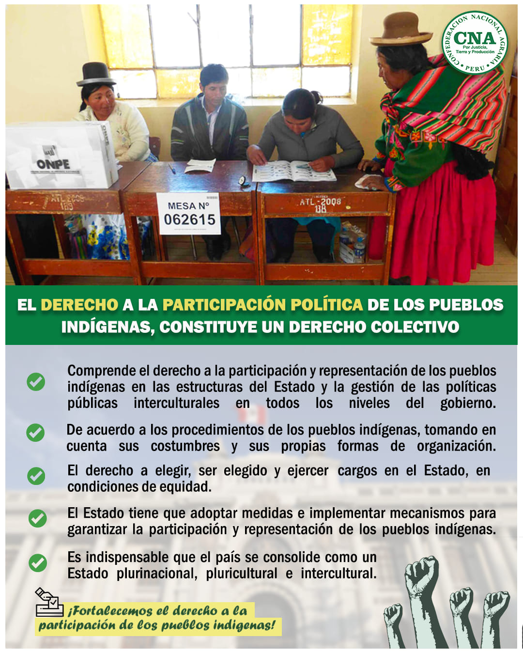 Campaña ¡por El Derecho A La Participación Política De Los Pueblos Indígenas Confederación 2719